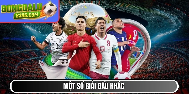 Một số giải đấu khác