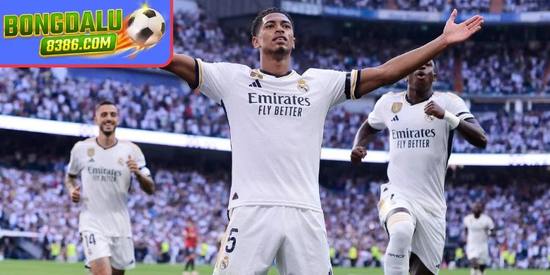 Thành tích và sự ghi nhận