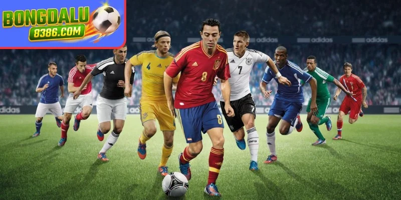 Các giải đấu cập nhật đầy đủ