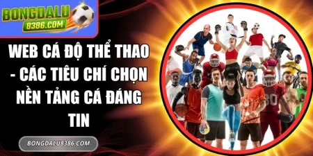 web cá độ thể thao
