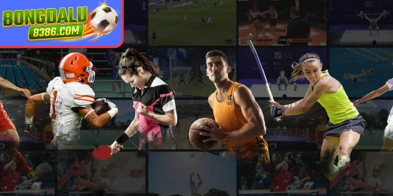 Web cá độ thể thao có chất lượng nội dung uy tín