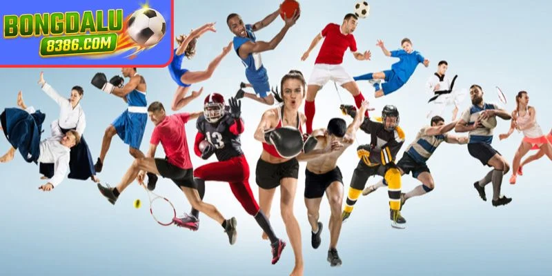 Tổng quan về web cá độ thể thao